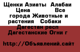 Щенки Азиаты (Алабаи) › Цена ­ 20 000 - Все города Животные и растения » Собаки   . Дагестан респ.,Дагестанские Огни г.